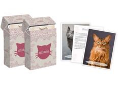 Boîtes de cartes Miaou