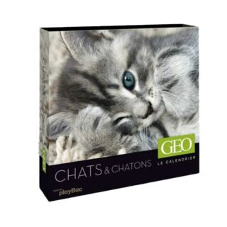 Calendrier perpétuel GEO - Chats et chatons 2012 - 19.99€