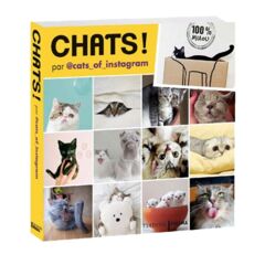 Chats ! Par @cats_of_instagram