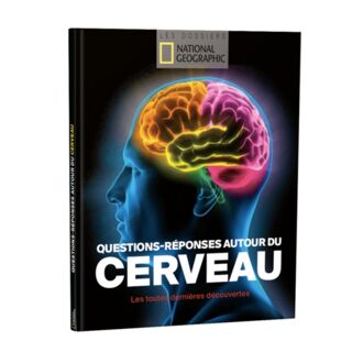 Questions - réponses autour du cerveau