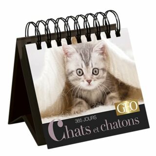 Calendrier perpétuel Chats et Chatons 2020