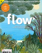 Flow n°46