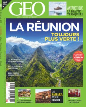 GEO n°503