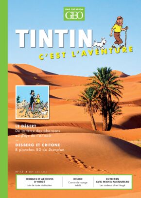Tintin c'est l'aventure n°13