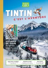 Tintin c'est l'aventure n°14