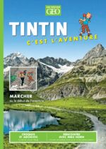 Tintin c'est l'aventure n°15