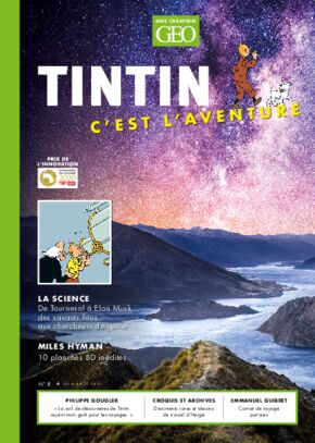 Tintin c'est l'aventure n°8