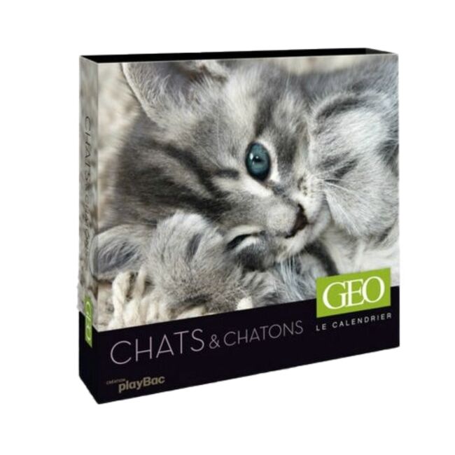 Calendrier perpétuel GEO - Chats et chatons 2012 - 19.99€ - Prismashop