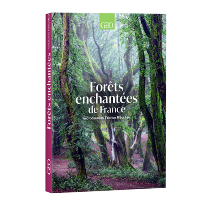 Forêts enchantées - Page de couverture 