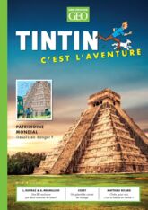 Tintin c'est l'aventure n°12