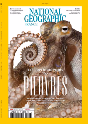 National Geographic n°296