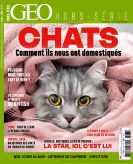 GEO n°63
