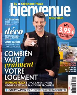 Bienvenue chez vous by Stéphane Plaza n°1