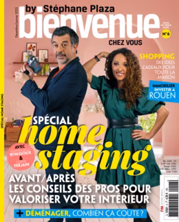 Bienvenue chez vous by Stéphane Plaza n°6