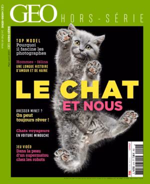 GEO n°41