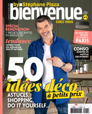 Bienvenue chez vous by Stéphane Plaza n°5